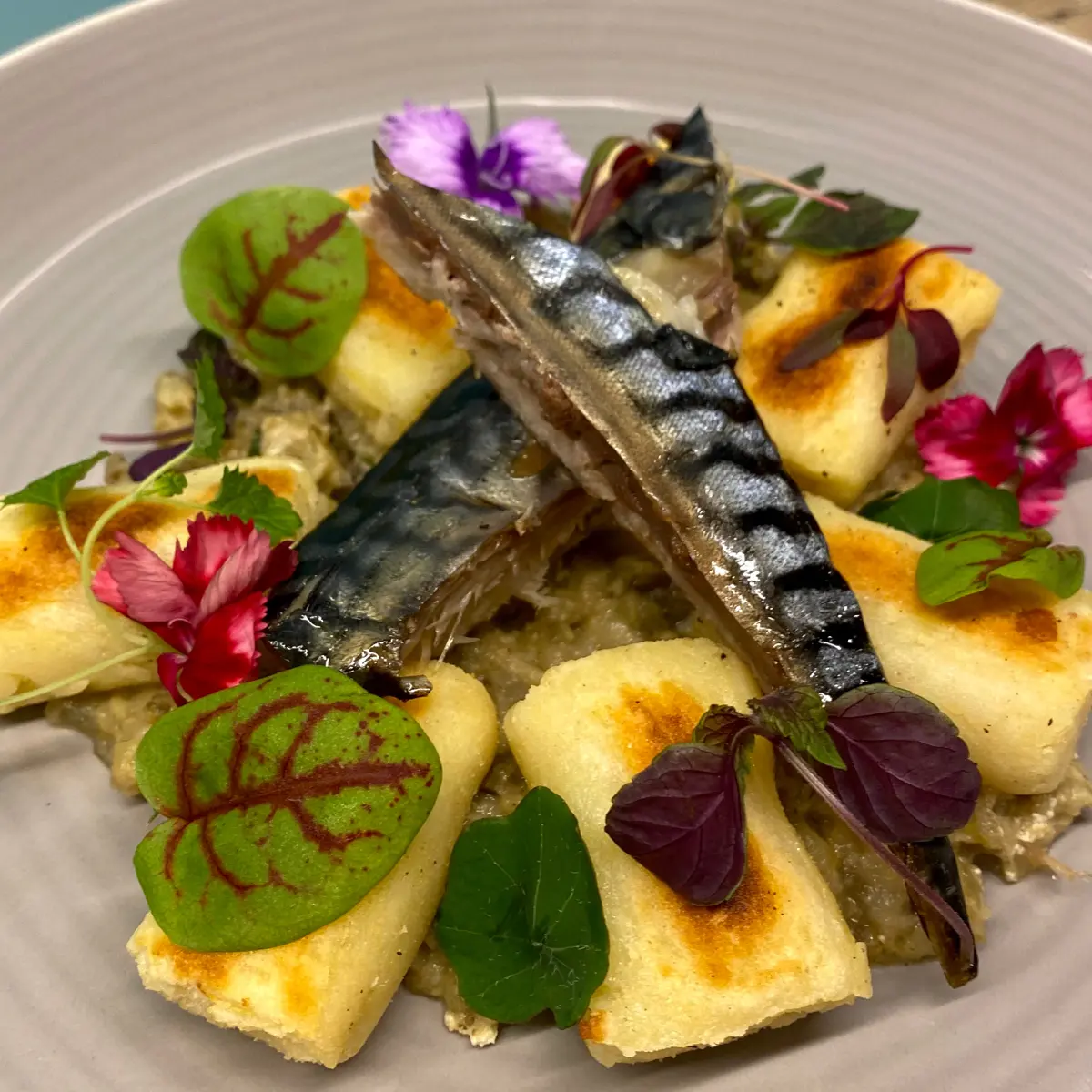 creation thumb for Mackerel, babaganoush, gnocchi