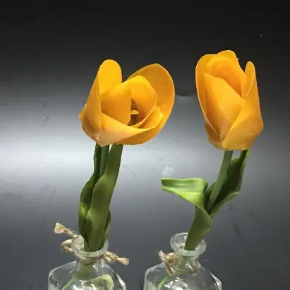 creation thumb for Mango tulips 🥭
