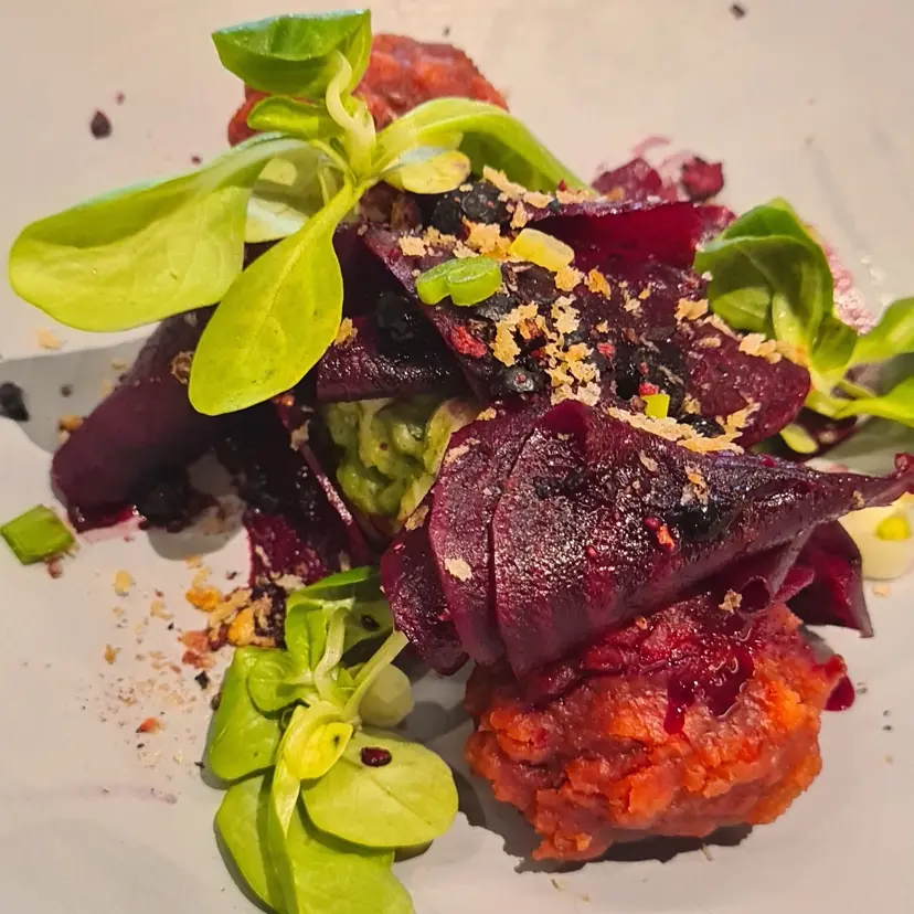 creation thumb for Vegane rote Beete und Spinat Knödel