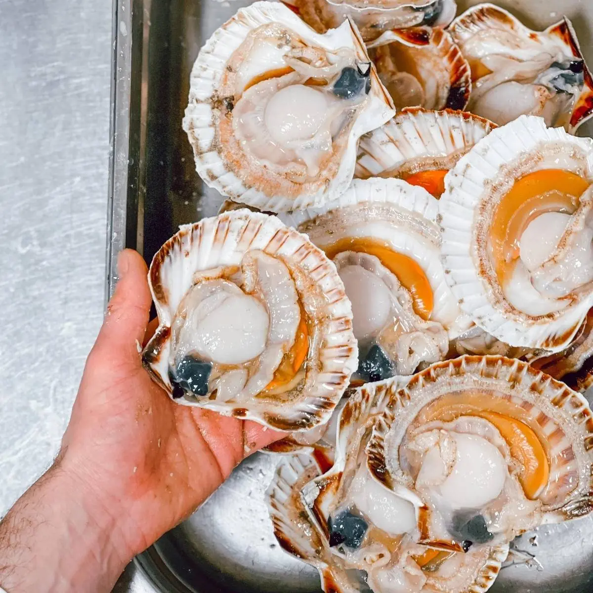 creation thumb for Scallops preparation