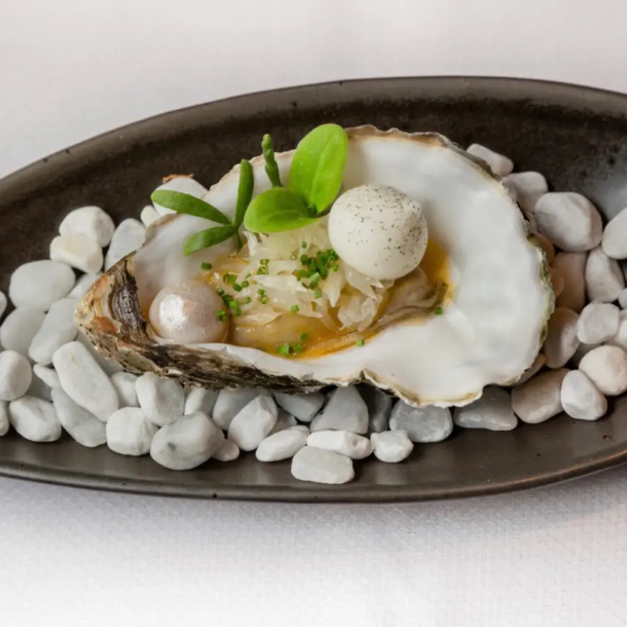 creation thumb for Oyster-Pomolo-Algue