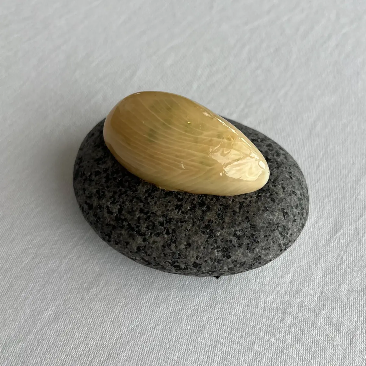 creation thumb for Yellowtail Mackerel Praline
