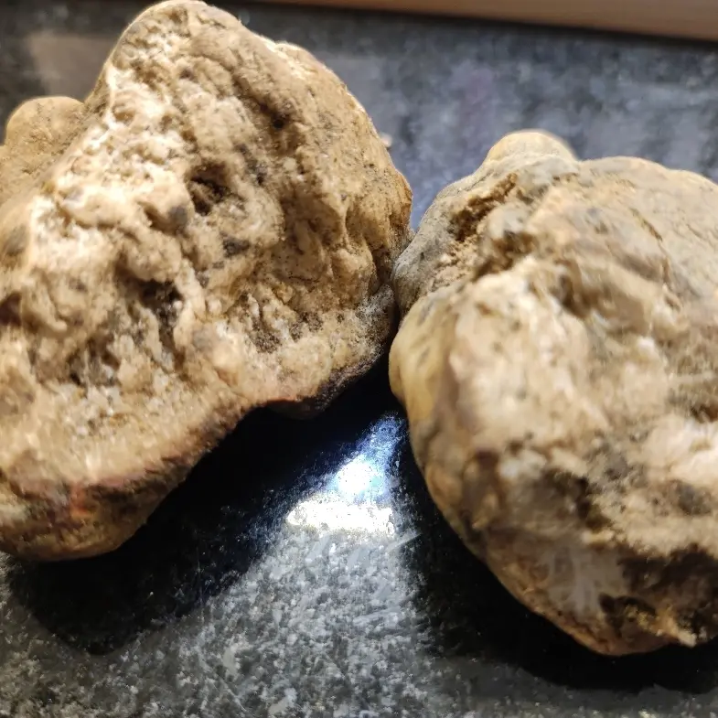creation thumb for Tartufo bianco