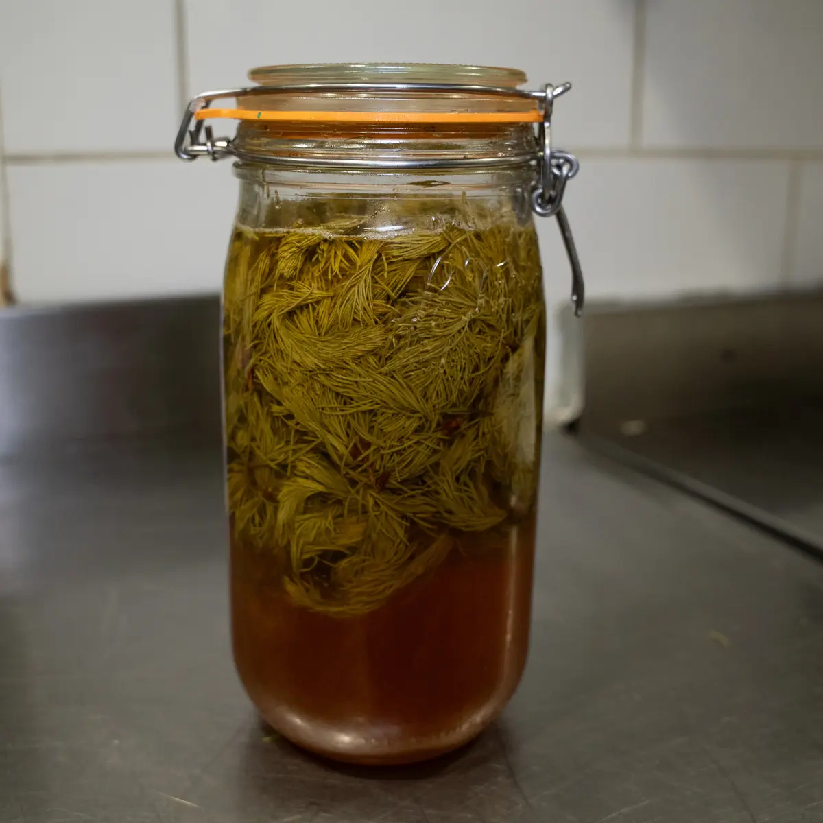 creation thumb for Honey & Fir Leaf Fermentation
