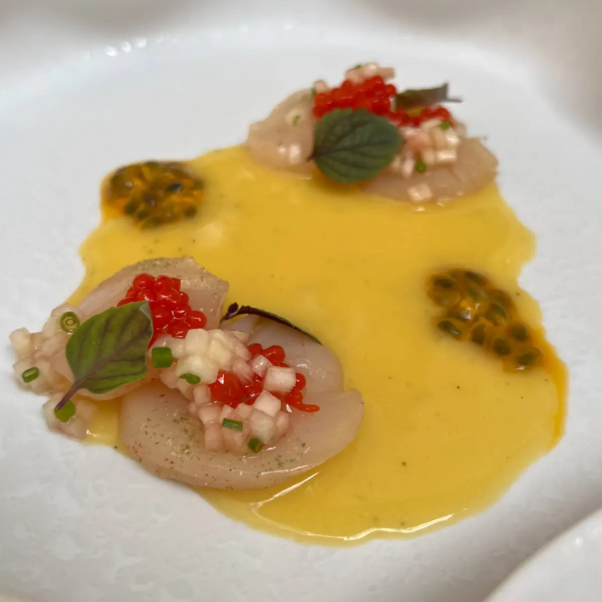 creation thumb for Marinated Scallop with Green Ceviche and Passion Fruit