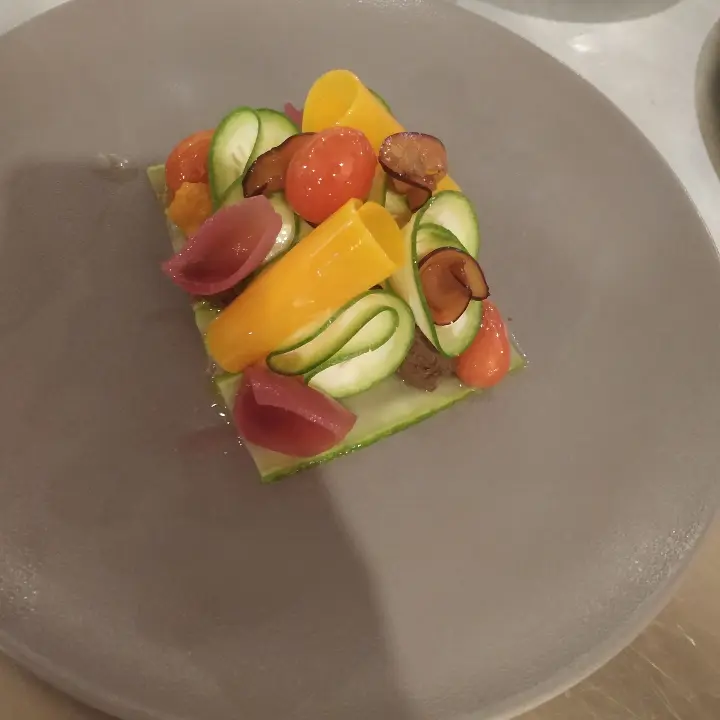 creation thumb for Raw vegetable salad in compression