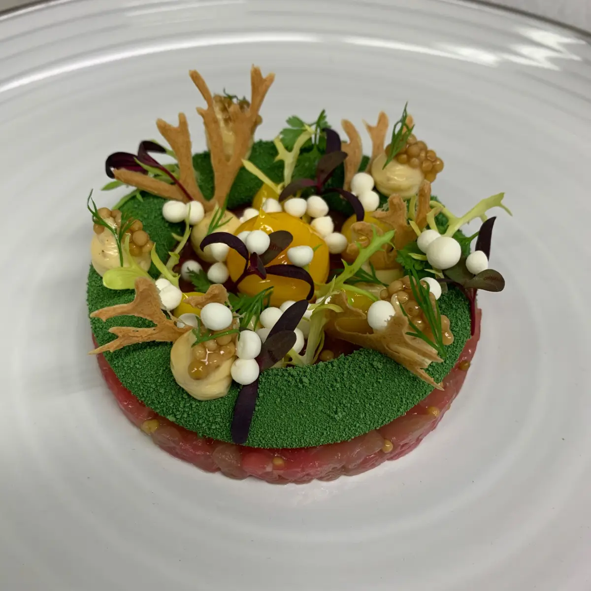 creation thumb for Beef Tartar with sour cream and mustard