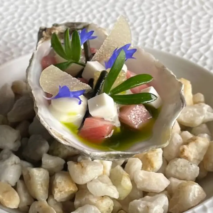 creation thumb for Oyster Toro