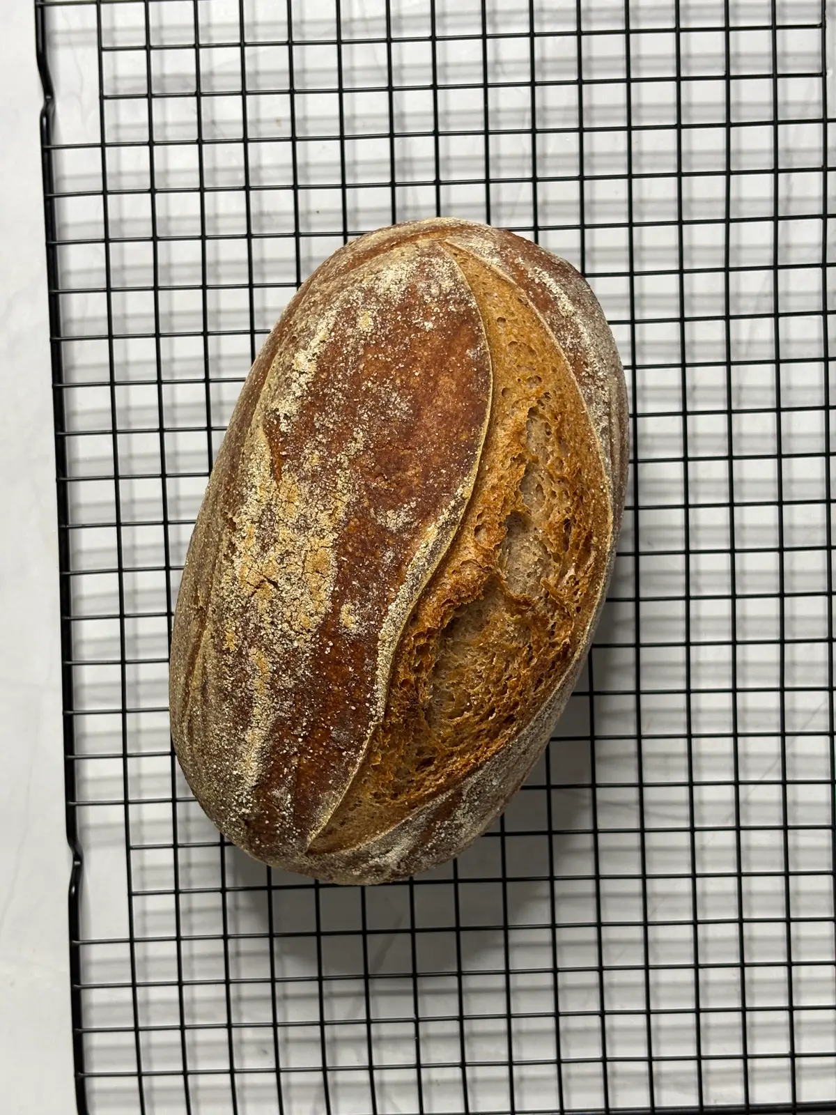 creation thumb for Glutenfreies Sauerteigbrot