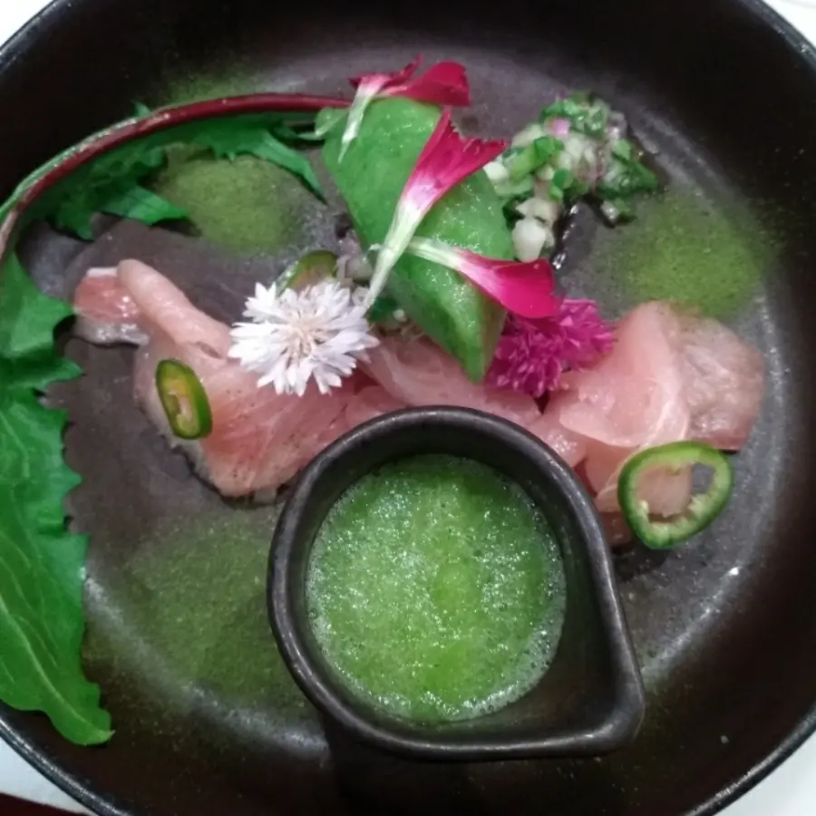 creation thumb for Hamachi - Ceviche Verde with Cactus Sorbet