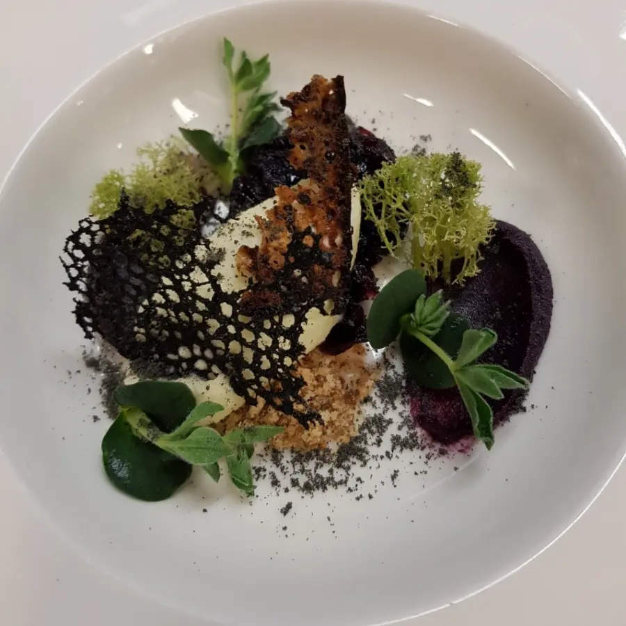 creation thumb for Goat cheese ice cream, red cabbage pure