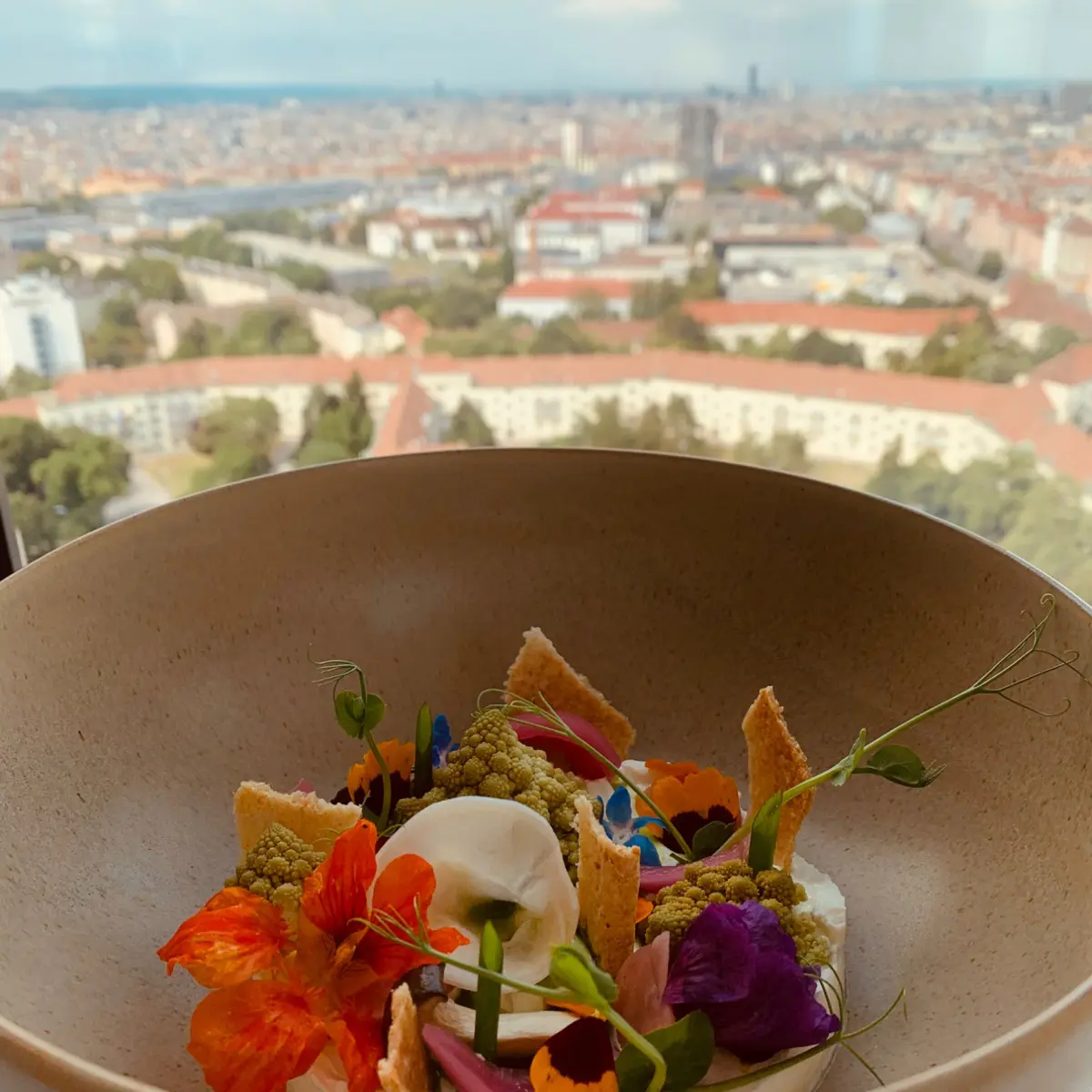 creation thumb for Verdure in Salamoia/ Labneh
