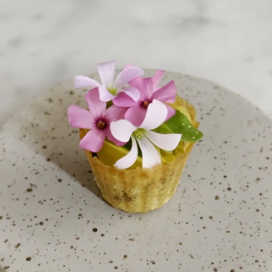creation thumb for Amuse  bouche