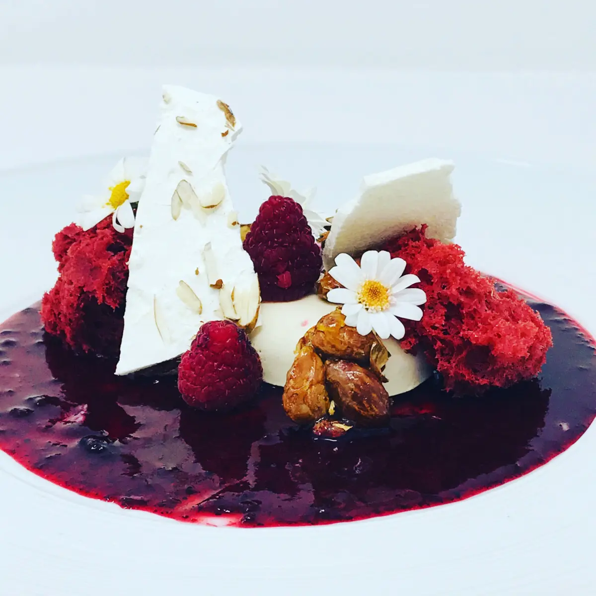 creation thumb for Panna cotta alle mandorle e lamponi