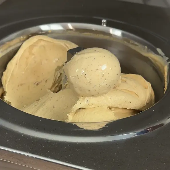 creation thumb for Burnt Orange, Panettone & Pine Nut Gelato