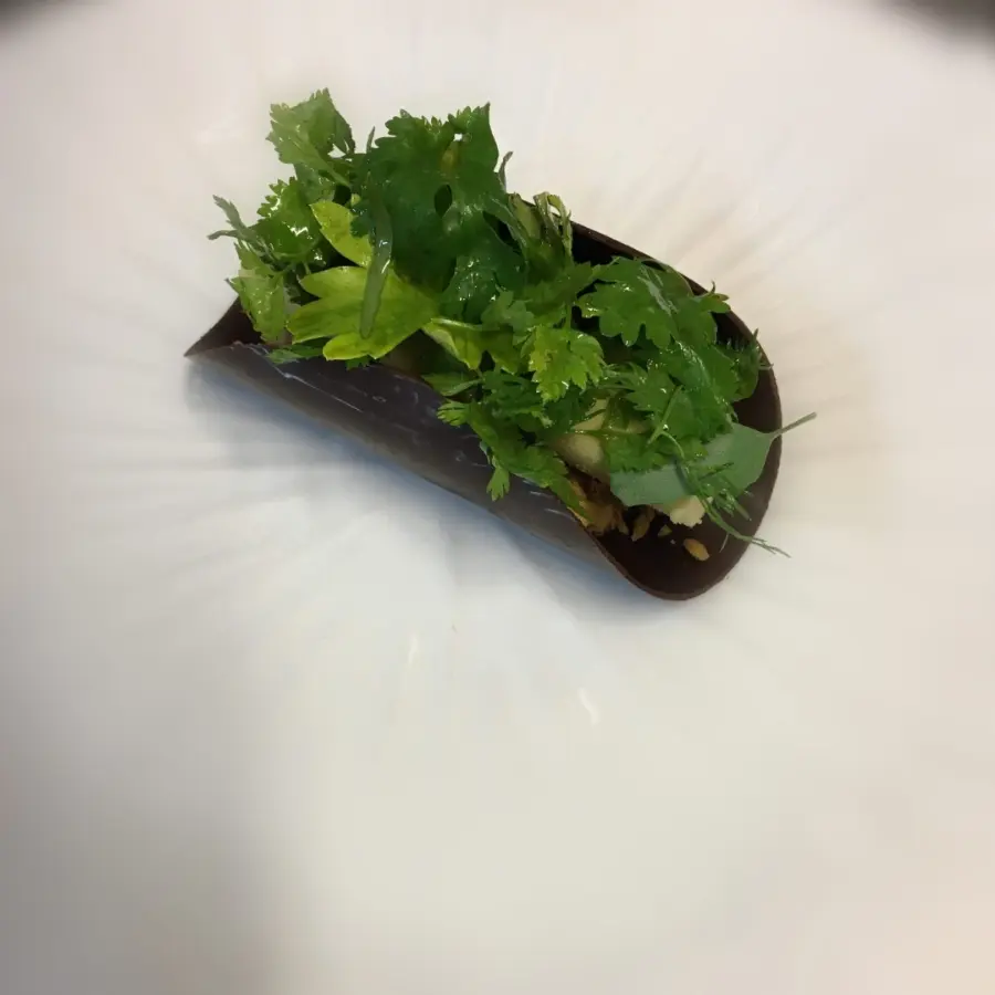 creation thumb for Chocolate tacos /green juice sorbet, garden grass and apple reduction with celery branch
