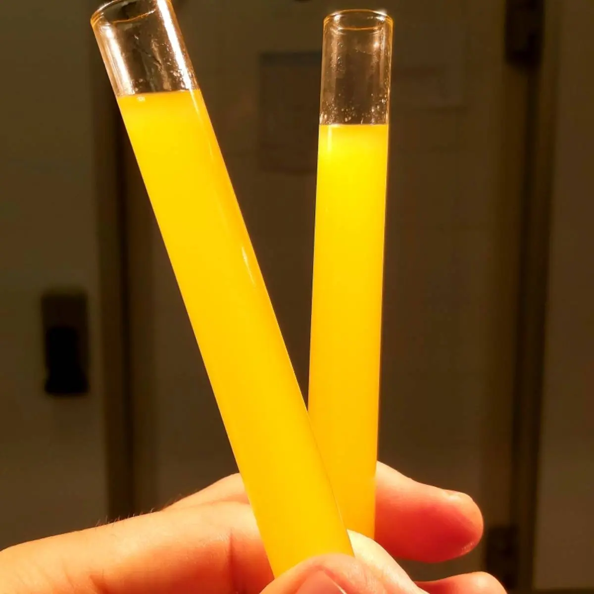 creation thumb for Fermented Kumquat Oil