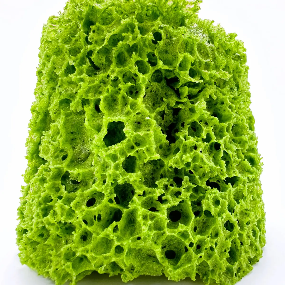 creation thumb for Sponge