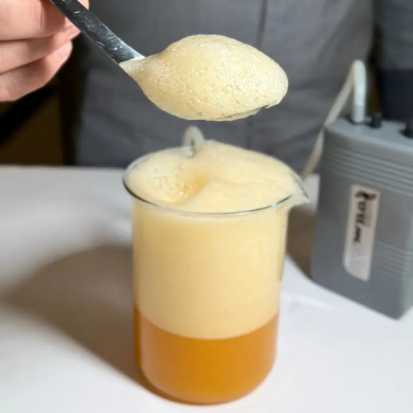 creation thumb for Pumpkin Foam