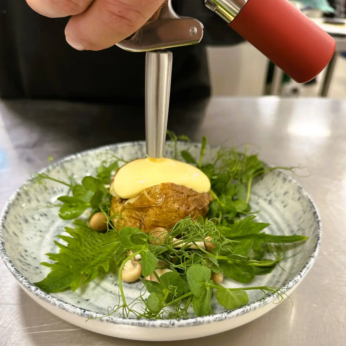 creation thumb for Siphon Cheddar Sauce