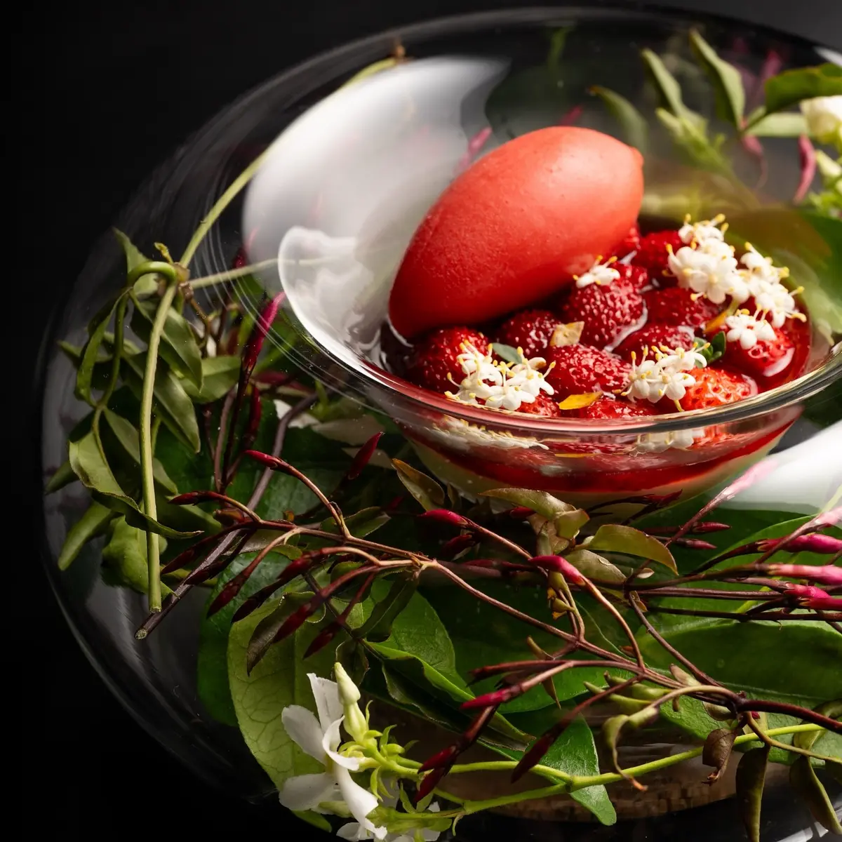 creation thumb for Fraises des Bois