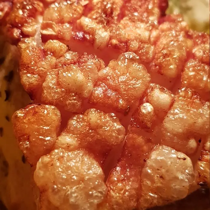 creation thumb for Meat,two Styles