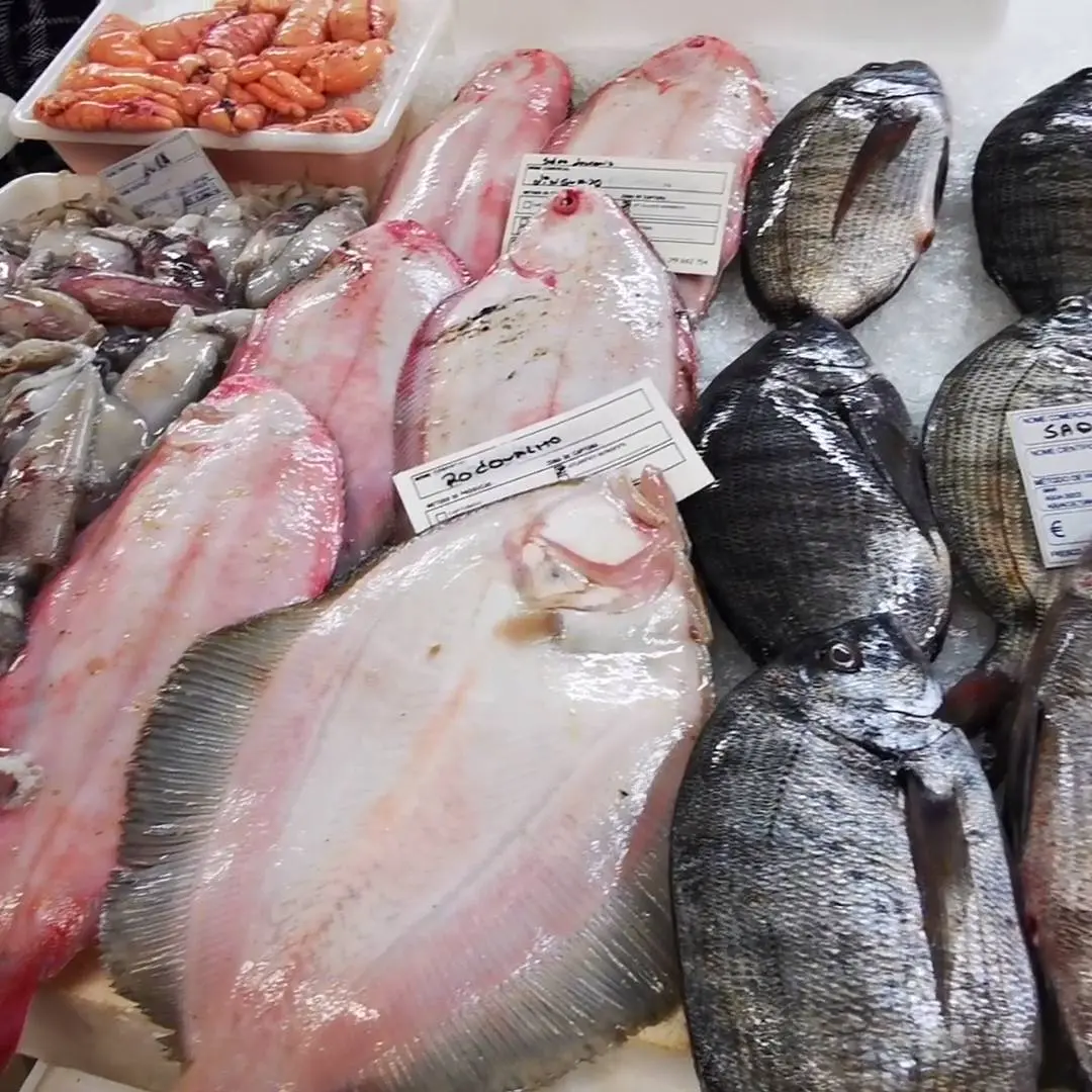creation thumb for Visiting a market in Portugal - Mercado Municipal da Ericeira