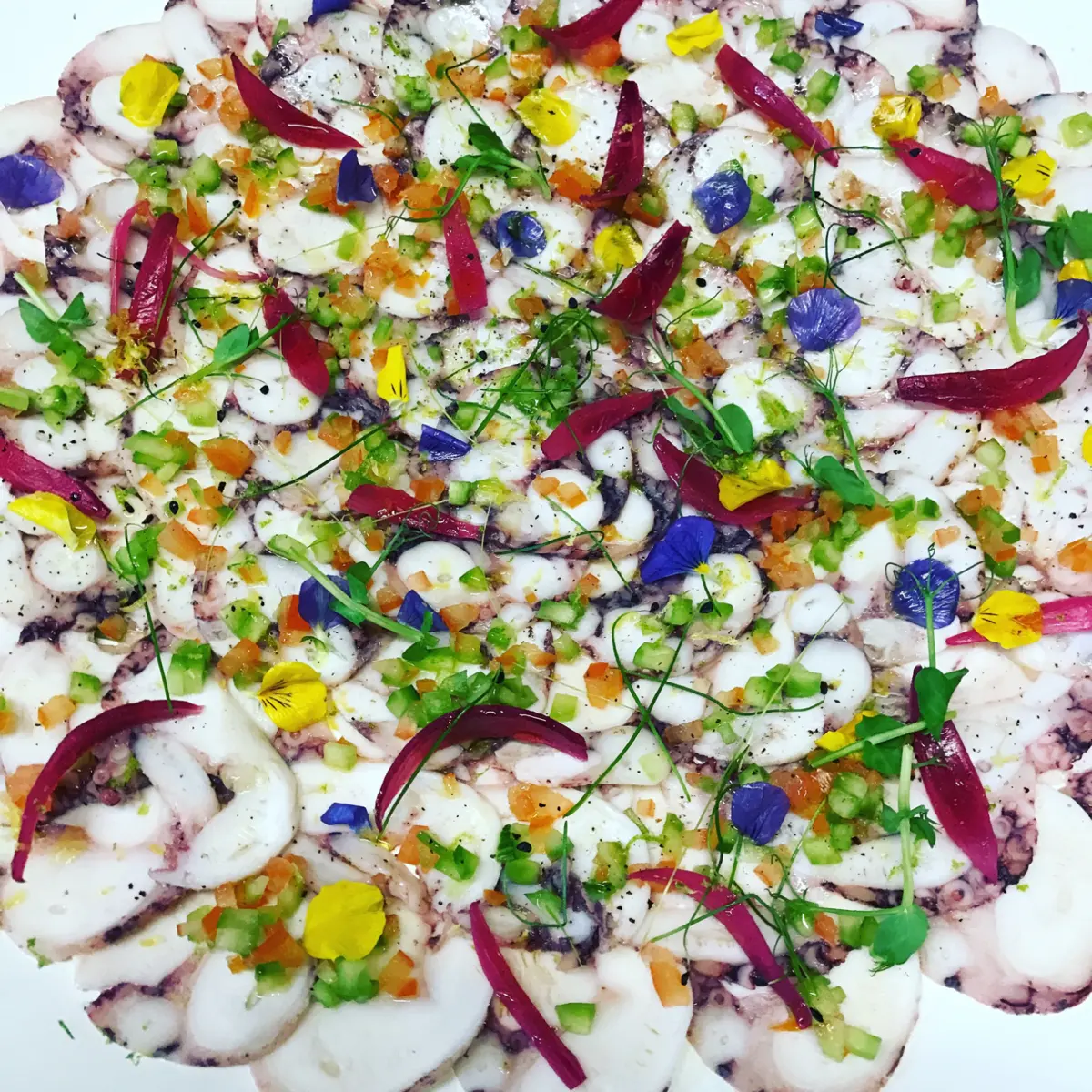 creation thumb for Carpaccio di polipo ..