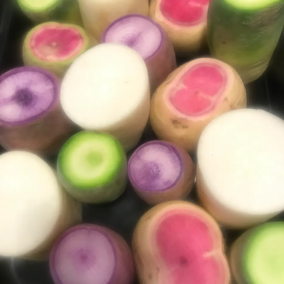 creation thumb for Red meat Green meat blue skin radish