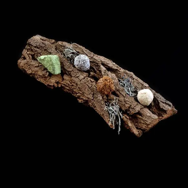 creation thumb for Petit Four / Praline