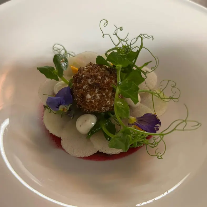 creation thumb for Beetroot Tartare | Labneh | Granny Smith | Hazelnut