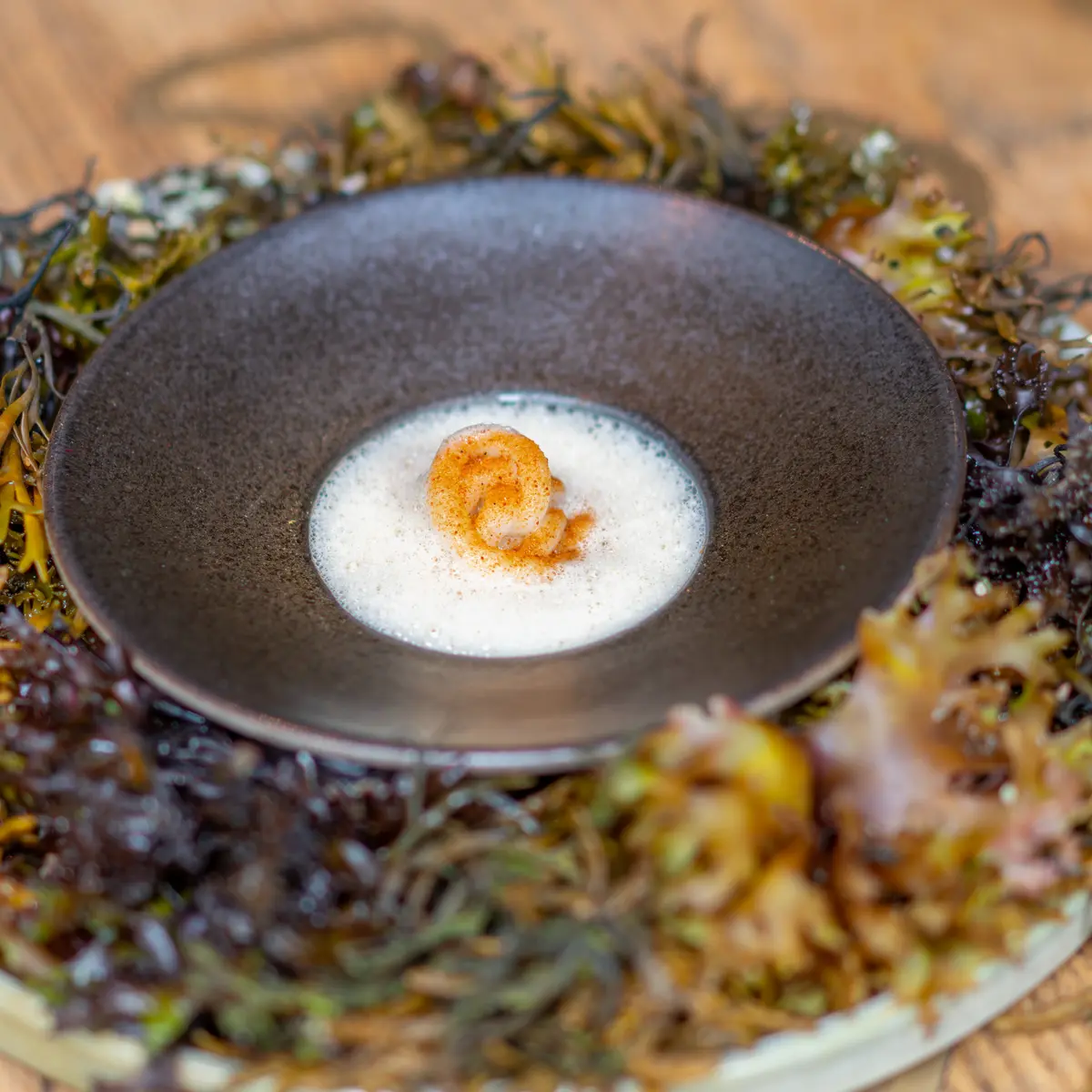 creation thumb for Caramalized Onion Foam
