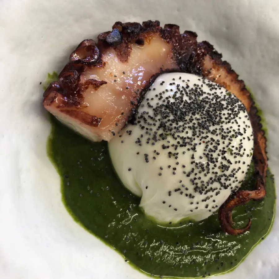 creation thumb for Octopus /burrata/green sauce