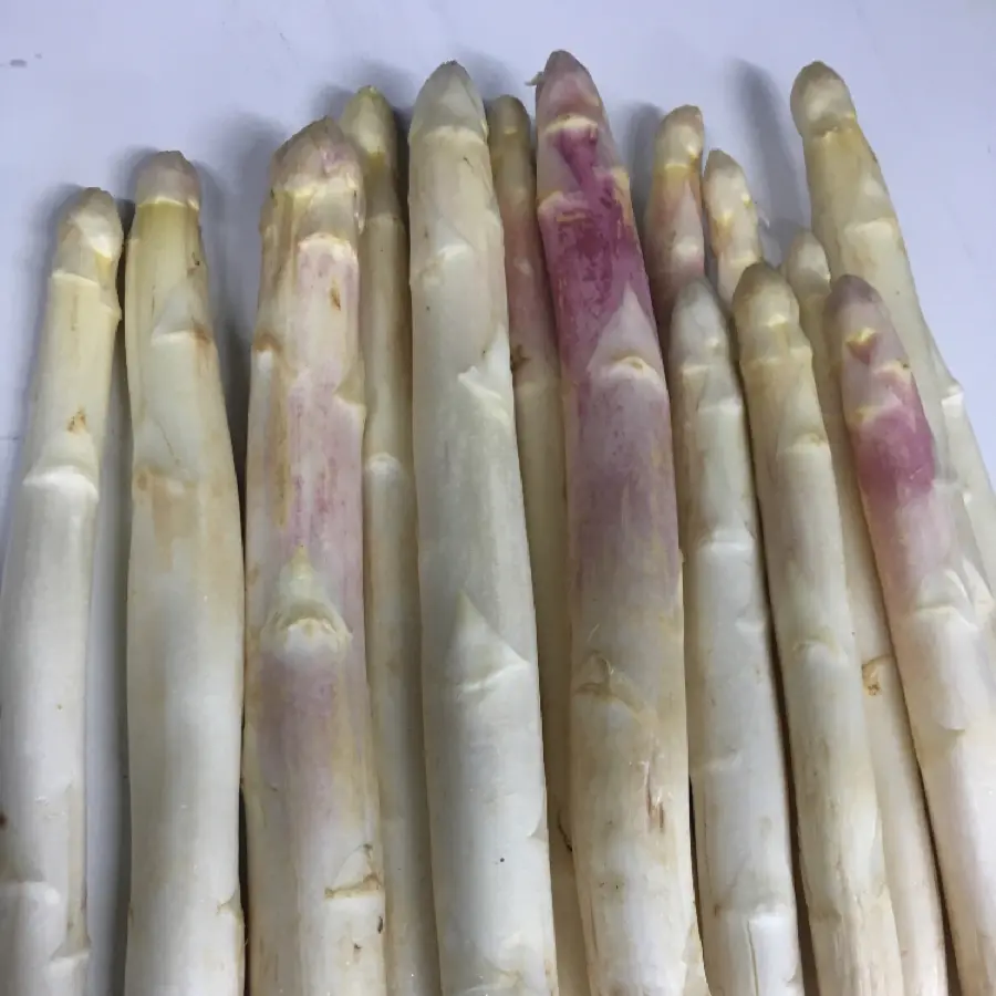 creation thumb for Asparagus from navarra spain