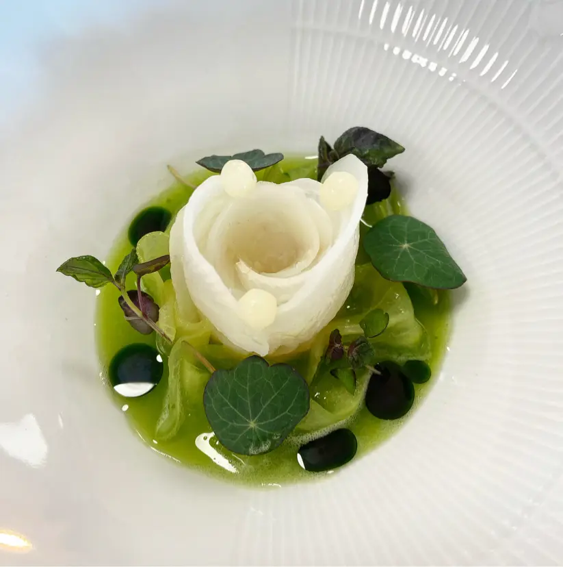 creation thumb for Cured halibut-Daikon-miso-Yuzu-Kombu-Cucumber
