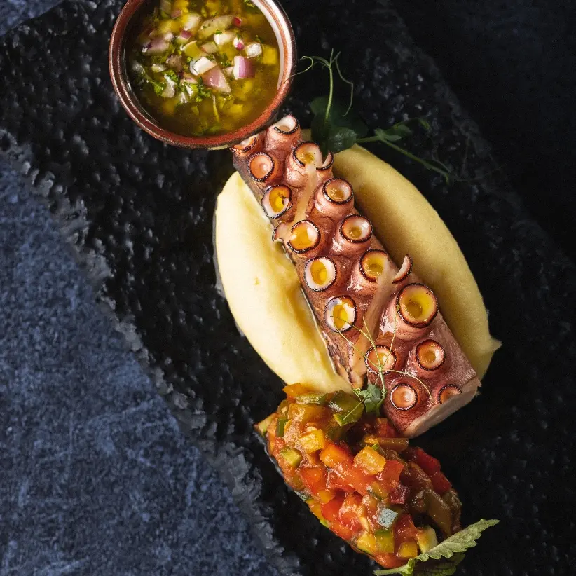 creation thumb for Octopus with pure and salsa crudo