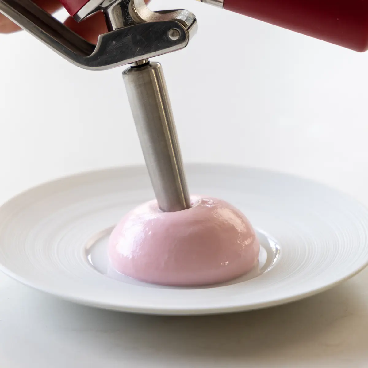 creation thumb for Rhubarb & yoghurt espuma
