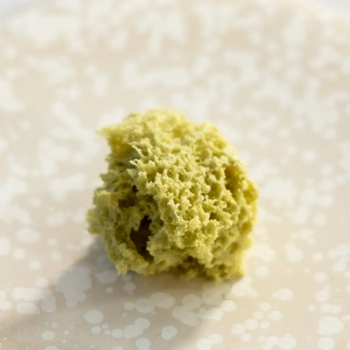 creation thumb for Pumpkin seed spongecake