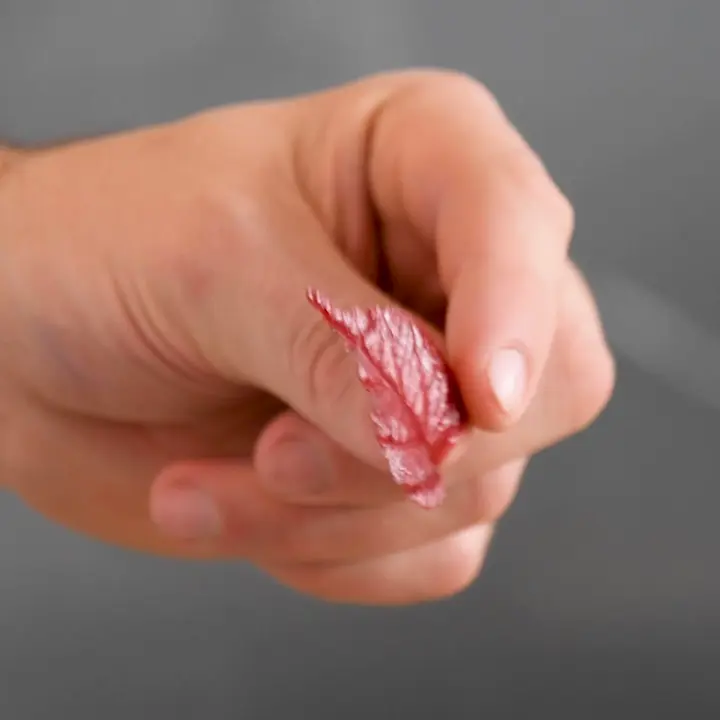 creation thumb for Crispy fruit leaf recipe 