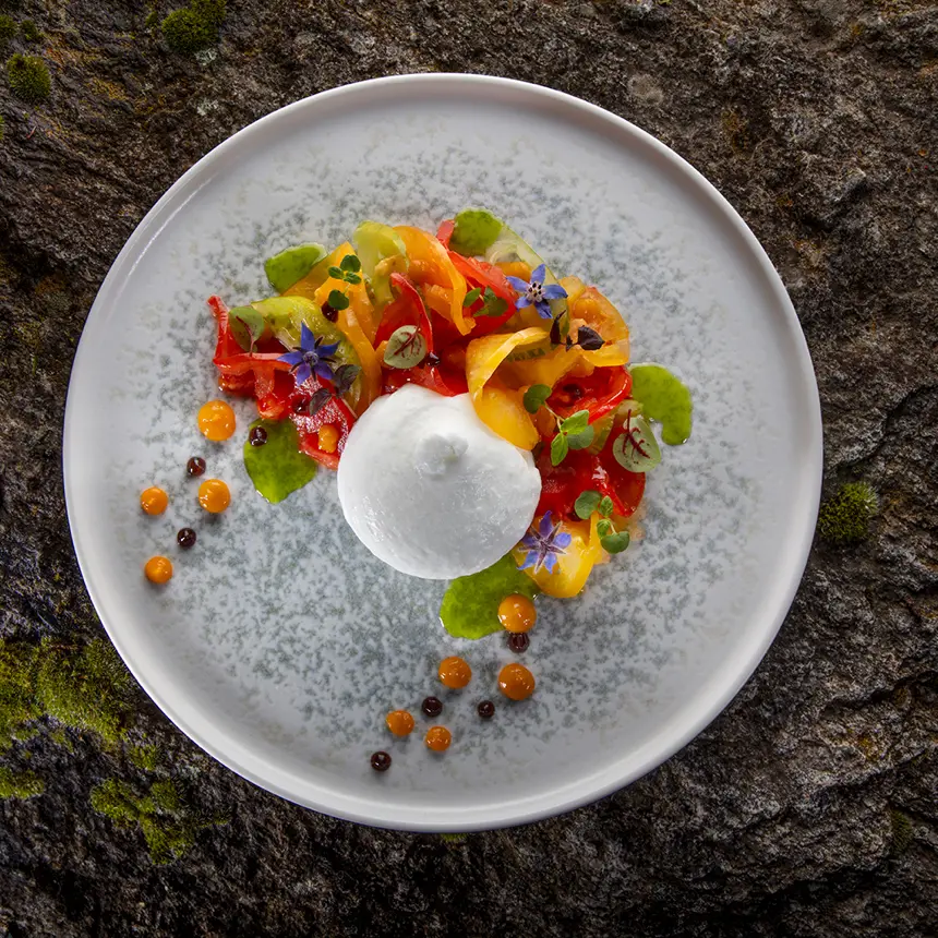 creation thumb for Tomato and mozzarella cheese