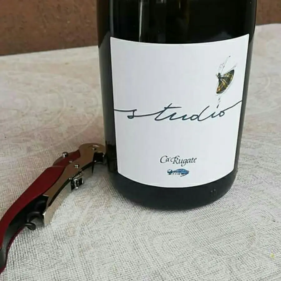 creation thumb for Today#Heute# Oggi si studia#Sommelier Coach#Tutti Stappati ed i vini assaggiati
