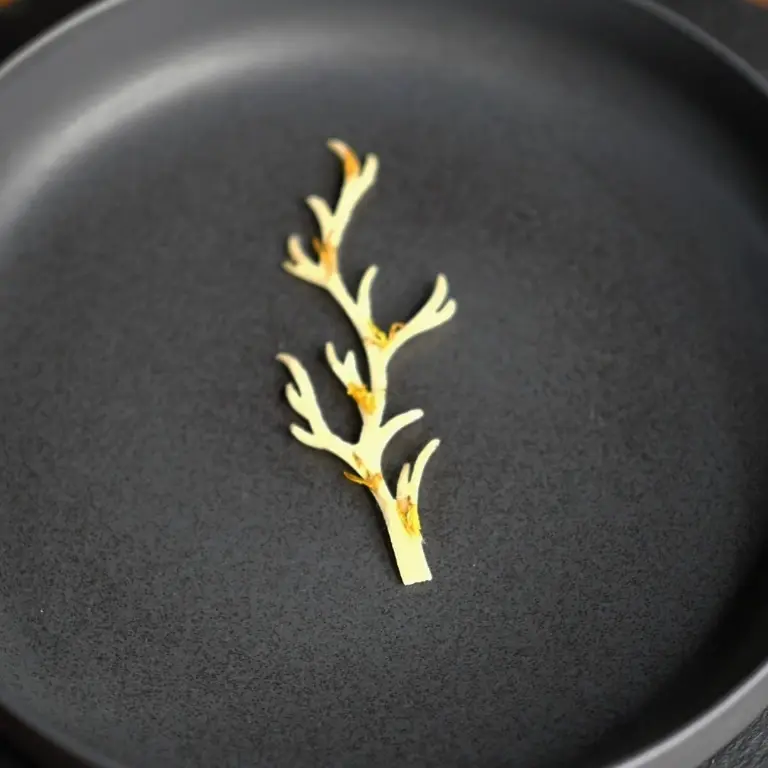 creation thumb for Dandelion and fennel tuille