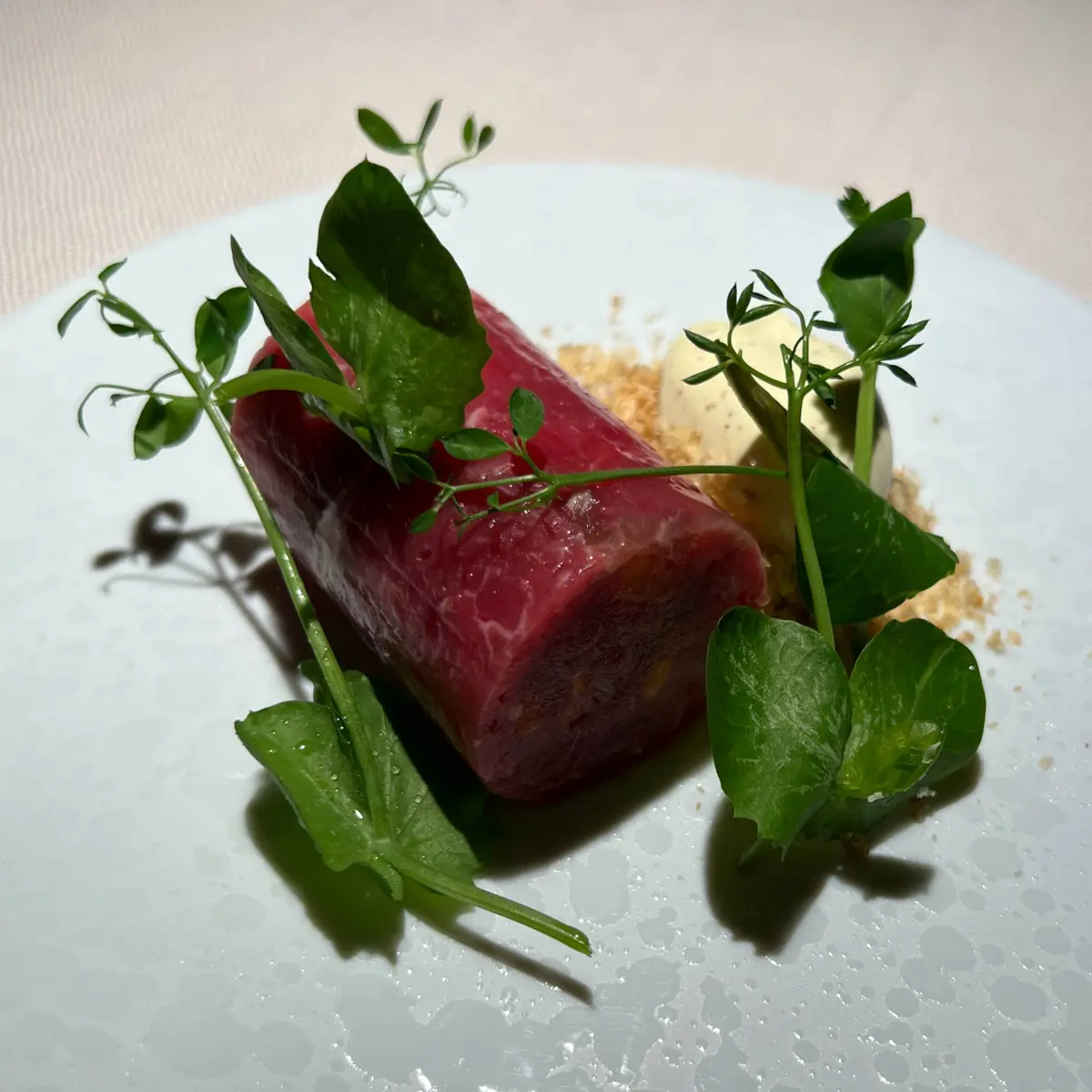 creation thumb for Tartar de Res y Carpaccio