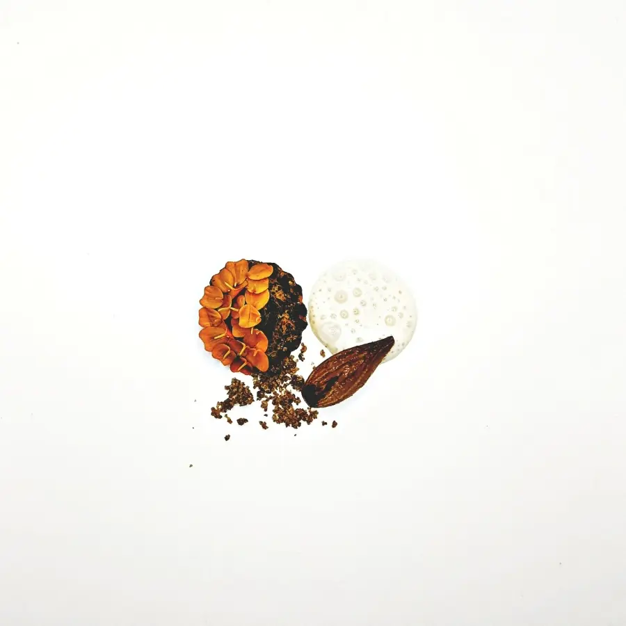 creation thumb for PATTYPAN SQUASH, ONION, CHAMBORD, CREME FRAISHE