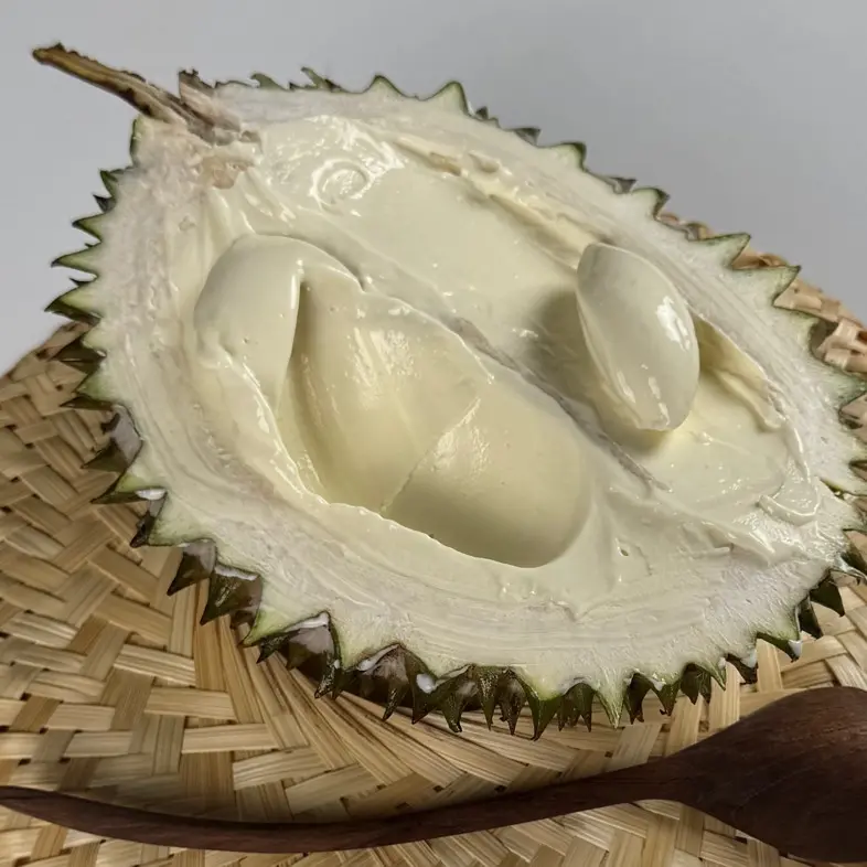 creation thumb for Durian Ice Cream