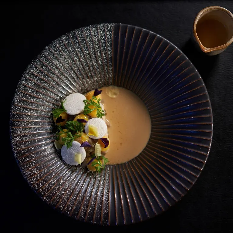 creation thumb for St Pierre / Candied egg yolk / Oyster mushrooms / Birch
