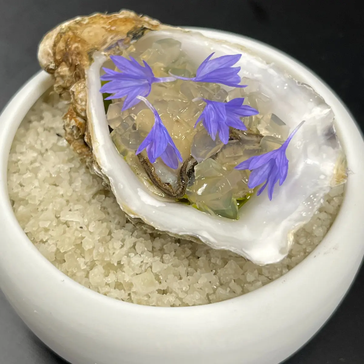 creation thumb for Oyster