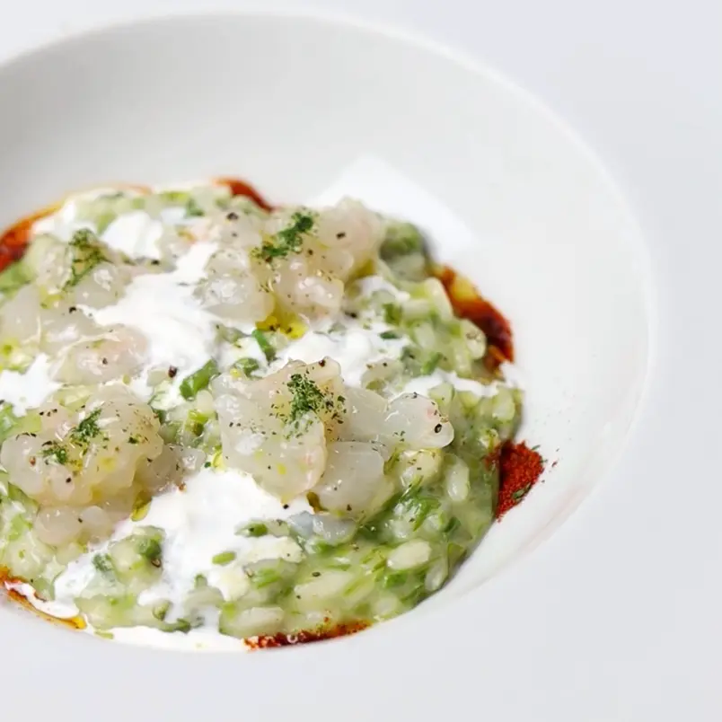 creation thumb for Risotto with Bruscandoli, Scampi Tartare and Stracciatella