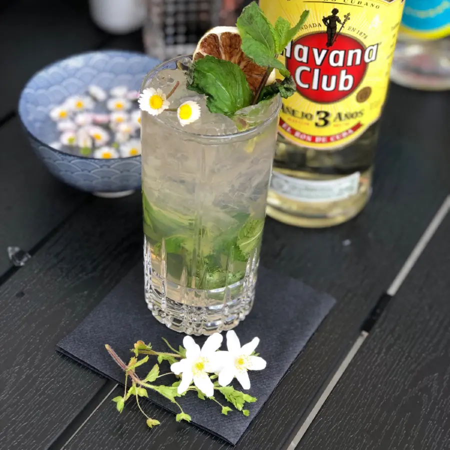 creation thumb for Mojito Time ☀️🤩