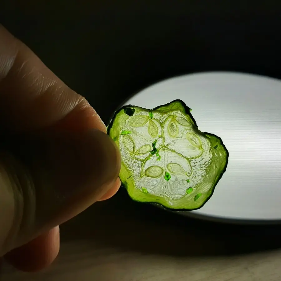 creation thumb for Zucchini deshidratado